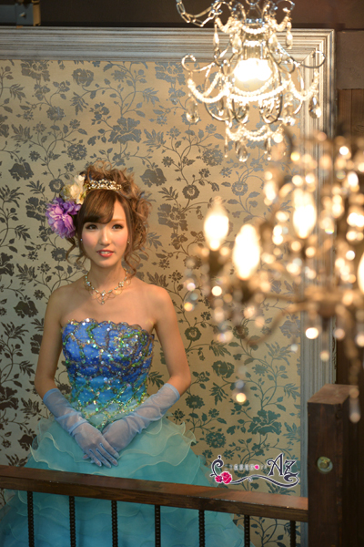 z-41 0091のコピー