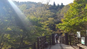 14914689_673581356125412_197914106_n[1]