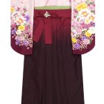 【卒業袴】ﾋﾟﾝｸ/紫・桜