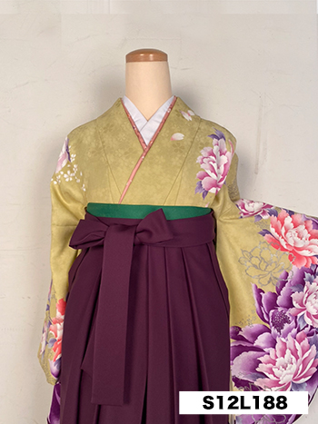 【卒業袴】黄/紫・牡丹