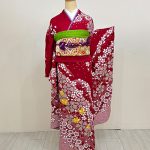 【振袖】赤/白・桜
