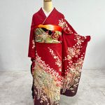 【振袖】赤・辻が花