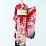 【振袖】赤/黒・桜