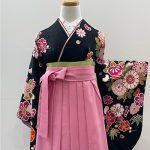 【卒業袴】黒・菊