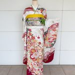 【振袖】白/赤・菊/桜