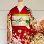 【振袖】赤・菊/鞠