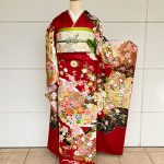【振袖】赤・菊/鞠