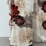 【振袖】白・菊
