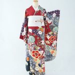 【振袖】赤・梅