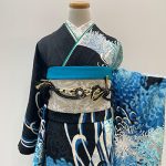 【振袖】黒/青・菊