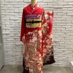 【振袖】赤/黒・桜