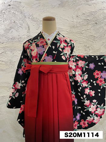 【卒業袴】黒・桜