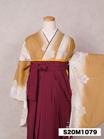【卒業袴】黄色・桜