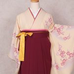【卒業袴】黄色・梅
