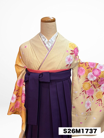 【卒業袴】黄色・桜