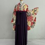 【卒業袴】ｱｲﾎﾞﾘｰ・菊