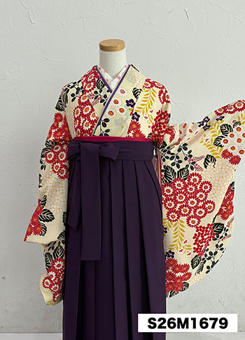 【卒業袴】ｱｲﾎﾞﾘｰ・菊