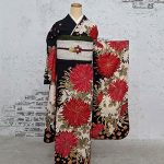 【振袖】黒・菊